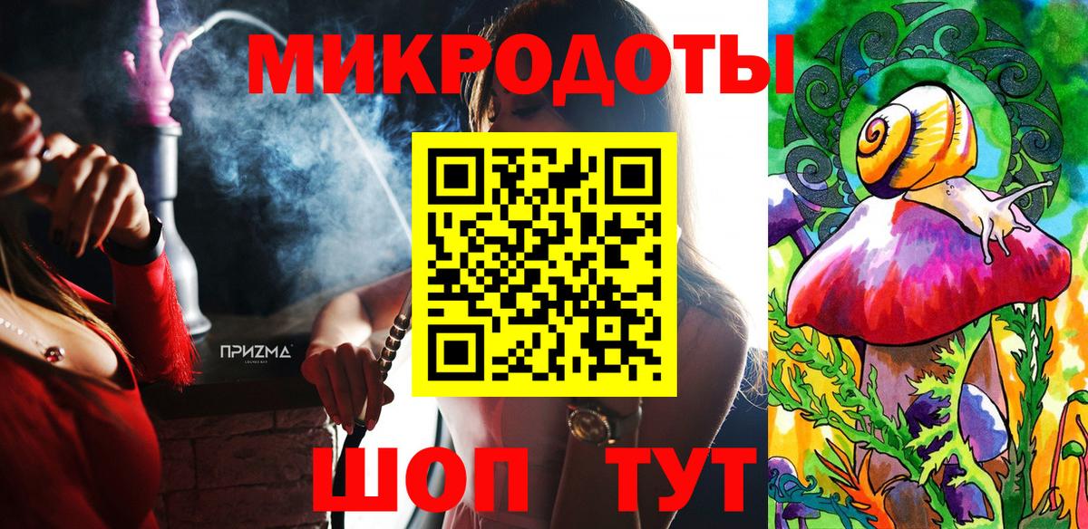 Галлюциногенные грибы Psilocybine cubensis Великий Устюг