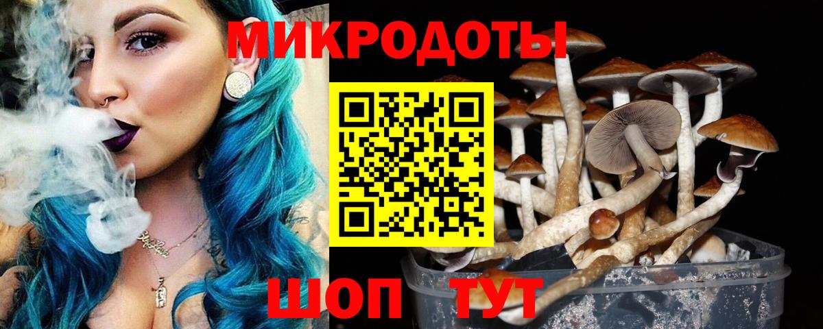 Великий Устюг  Псилоцибиновые грибы GOLDEN TEACHER  Вход с VPN 